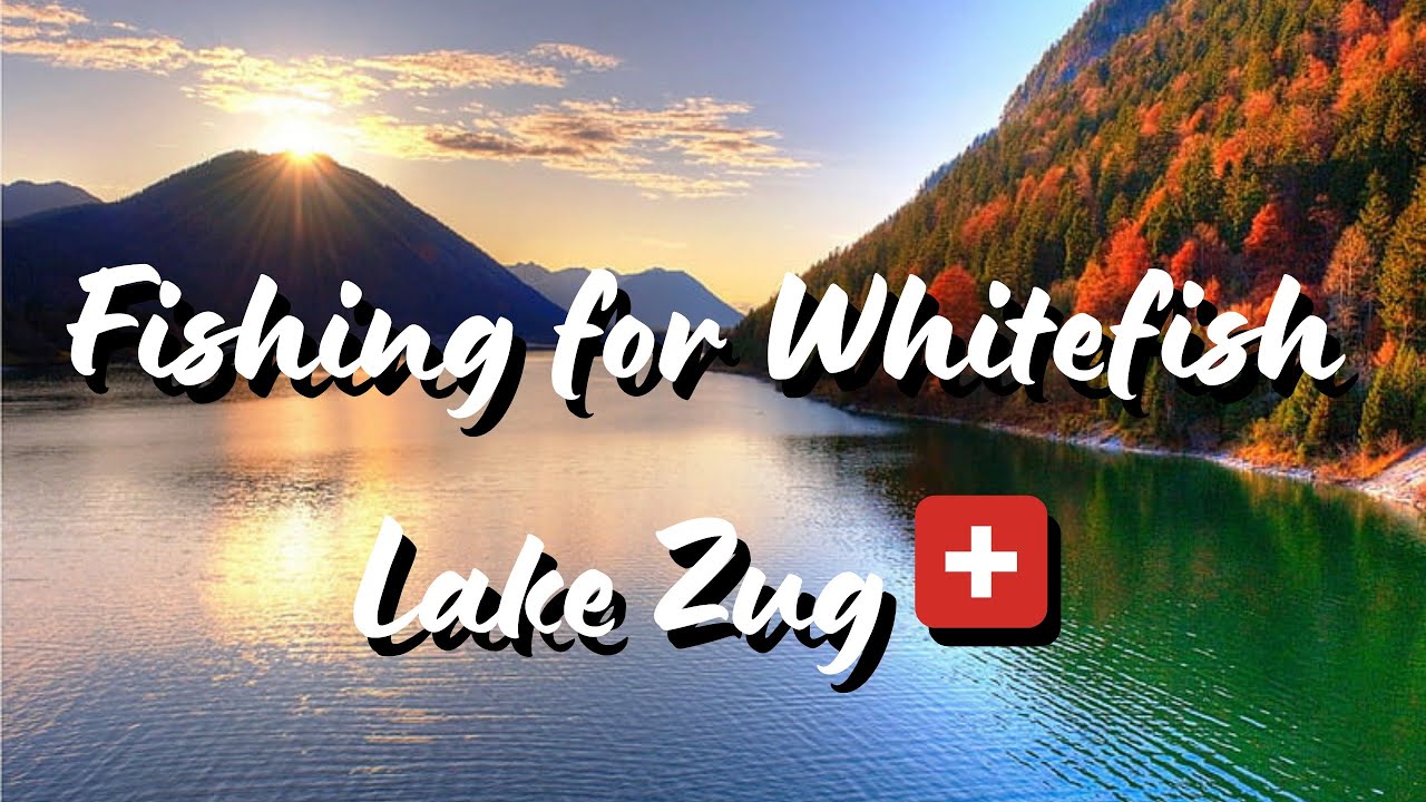 Fishing for Whitefish in Switzerland - Catch‘n‘Cook🔥🐟