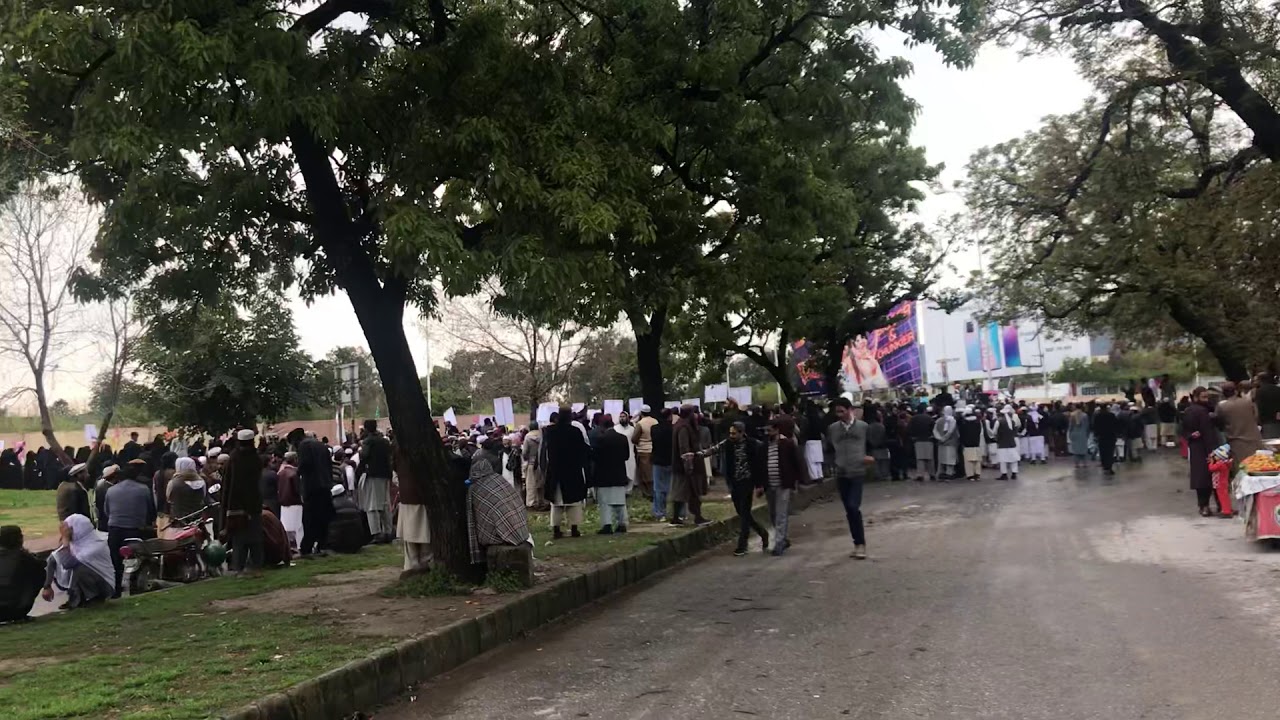 Haya March 2020