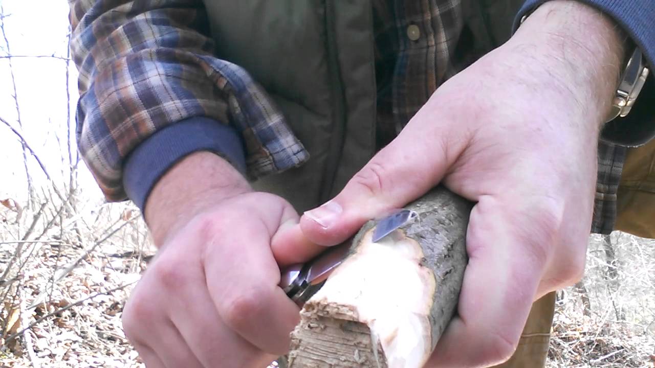Northwoods Fremont Jack