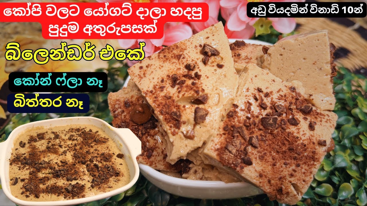 යෝගට් එකකට කෝපි චුට්ටක් දාලා බ්ලෙන්ඩර් එකේ හදන පුදුම රස පුඩිමක්|Yogurt and Coffee Pudding|Roo Eats