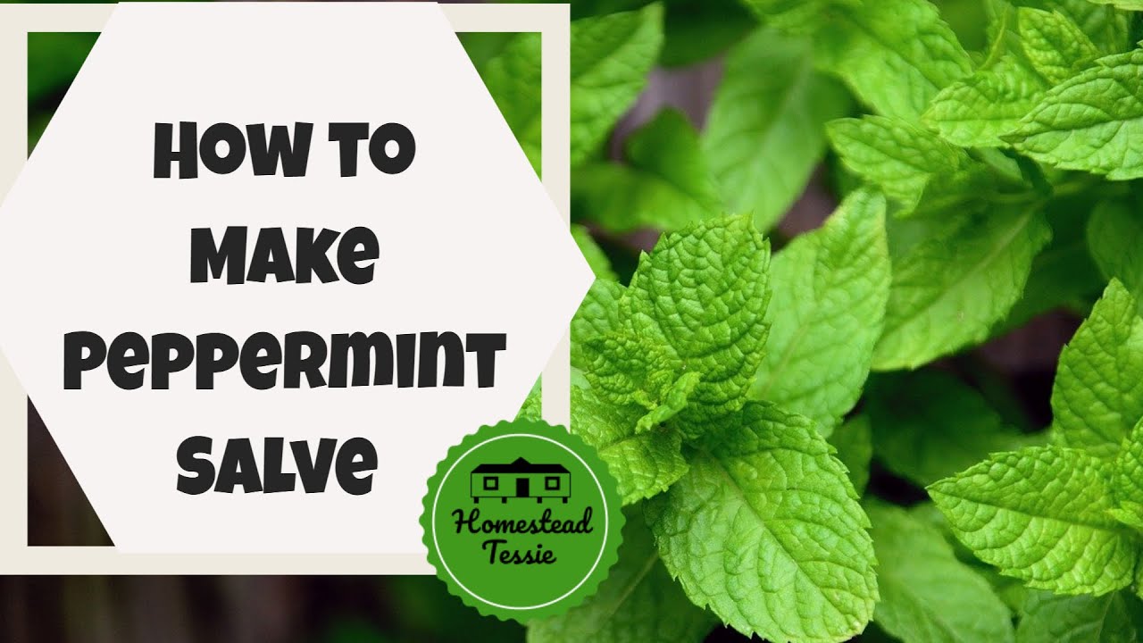 How to Make PEPPERMINT SALVE   Tutorial