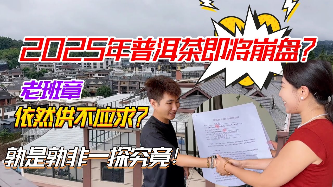 2025年普洱茶即將崩磐？老班章依然供不應求？孰是孰非一探究竟！#普洱茶 #茶文化 #普洱茶要怎么泡 #古树茶 #tea #茶葉 #普洱茶wechat #茶 #茶叶 #茶生活 #喝茶 #品茶 #泡茶