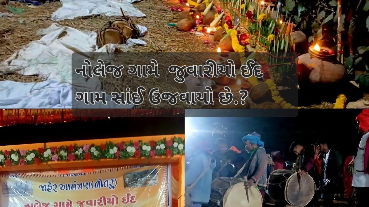 નોલેજ ગામે ગામ સાંઇ  ના મેળામ માં લાખો ની સંખ્યામાં  મેળા નો આનંદ લીધો . 🌾જય જોહર  જય  આદિવાસી 🏹
