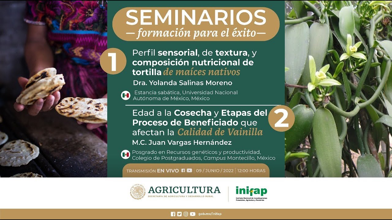 SEMINARIOS Formación para el éxito | Tercera edición