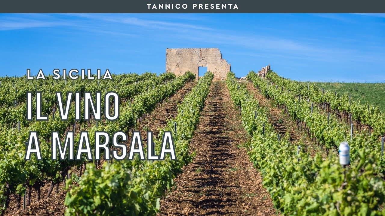 Il vino a Marsala prima e dopo gli inglesi | Tannico