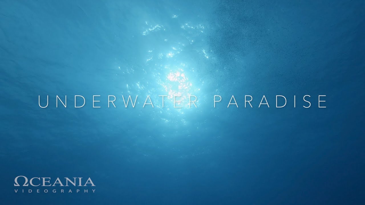 UNDERWATER PARADISE [Diving the Maldives south atolls]
