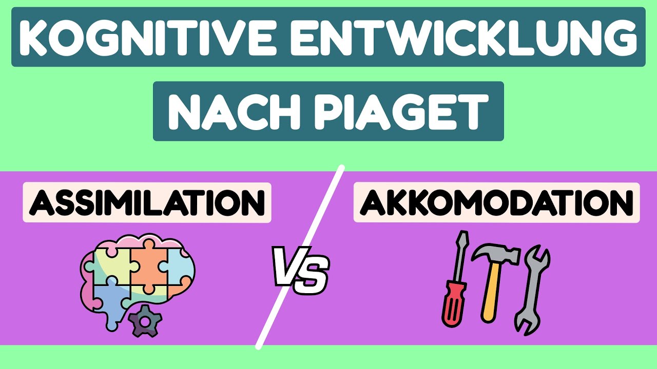Kognitive Entwicklung nach Piaget - Assimilation vs. Akkomodation
