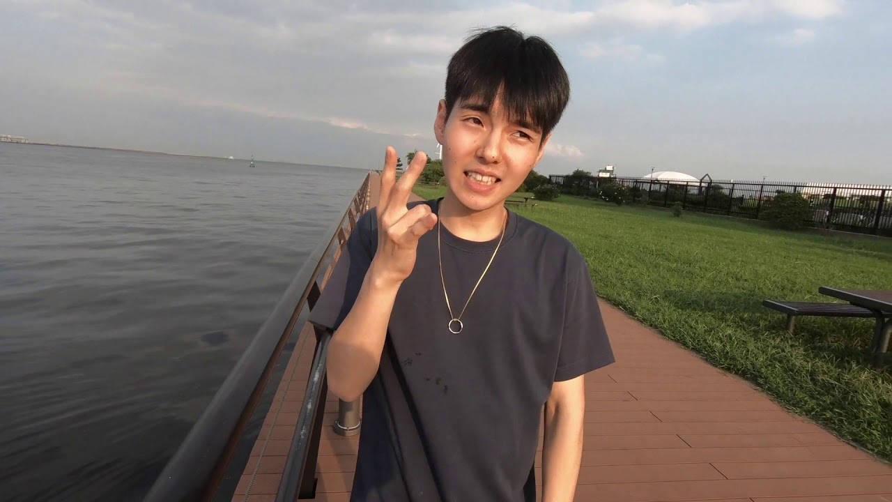 dodo - im