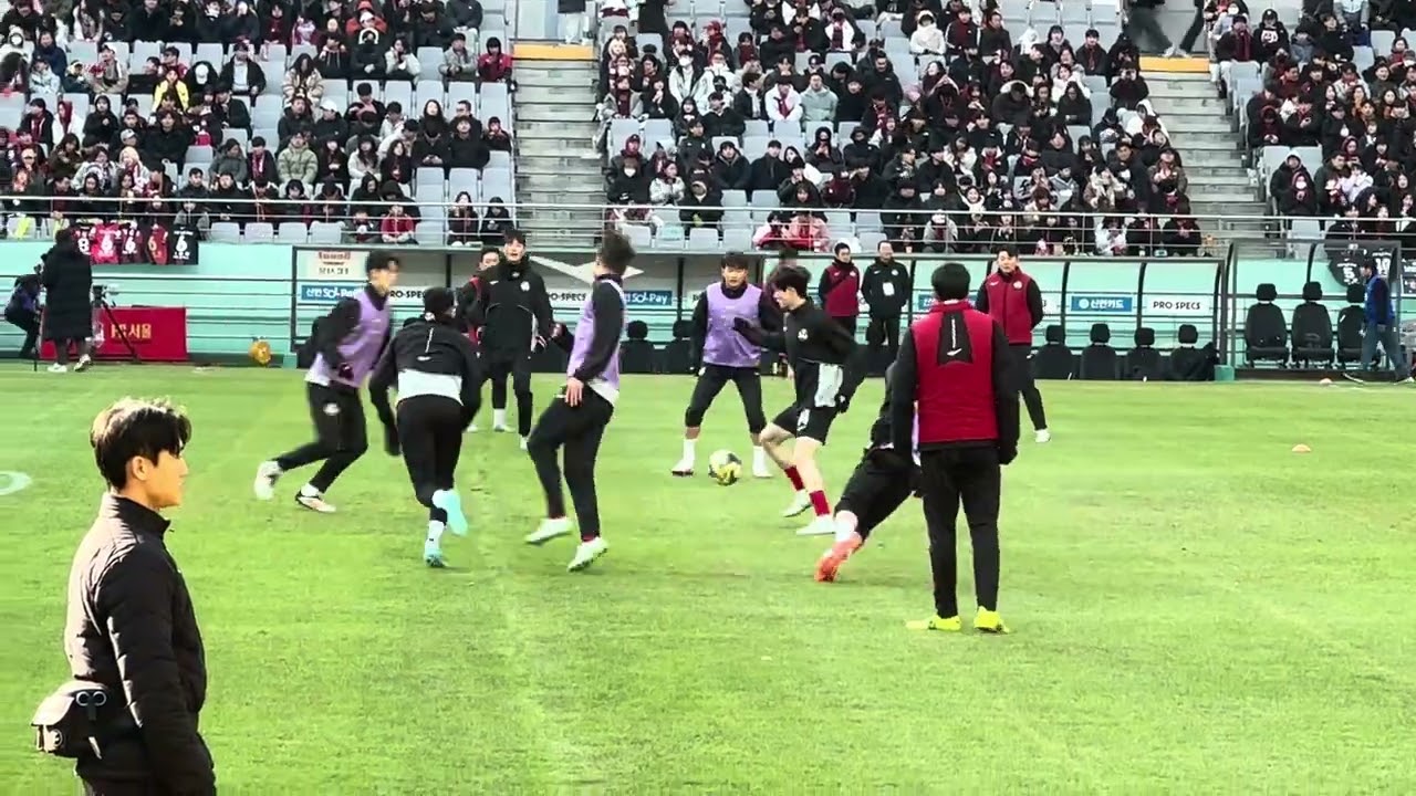 2025.2.22 FC서울 vs 안양 (1) - 경기 시작 전