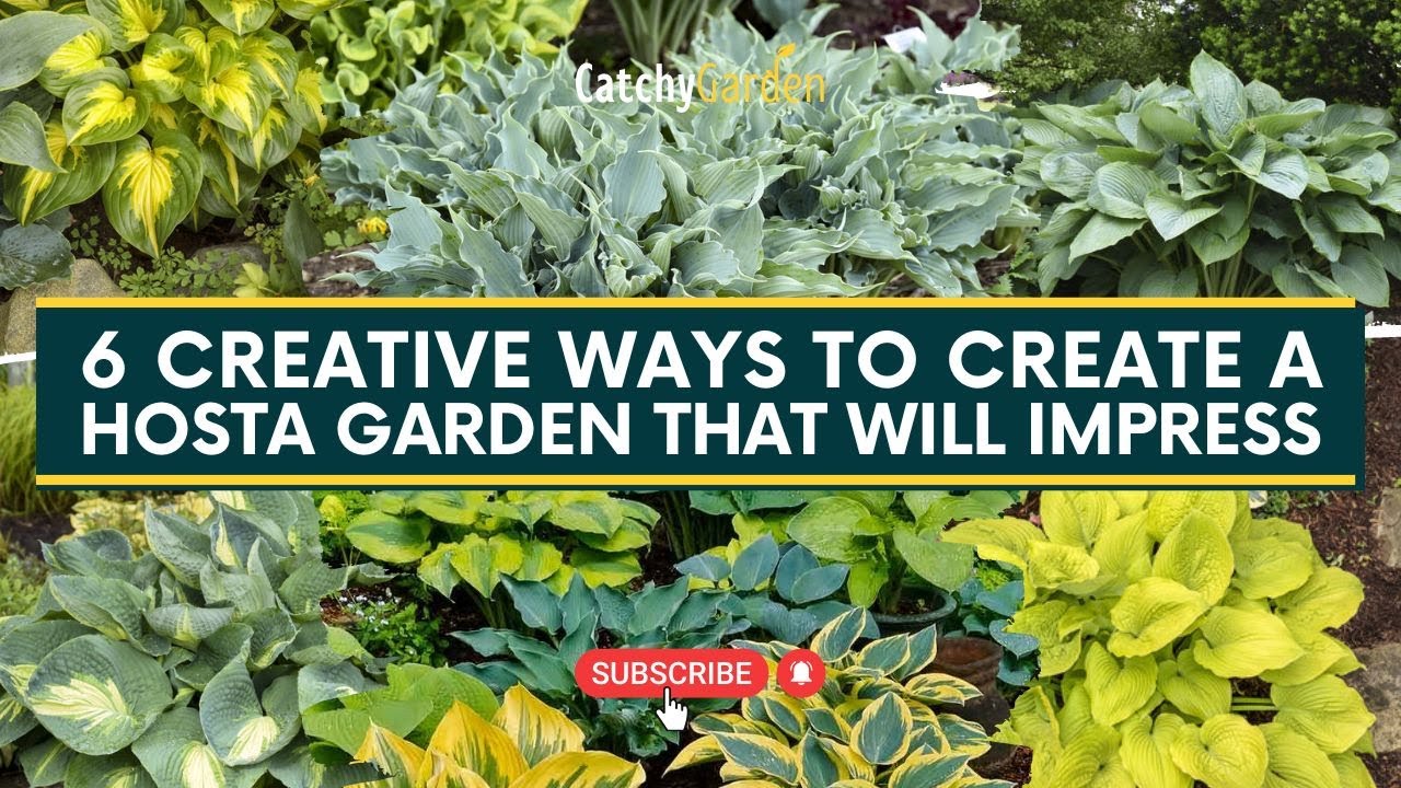 6 Creative Ways to Create a Hosta Garden That Will Impress 🍃🌿 // Gardening Tips