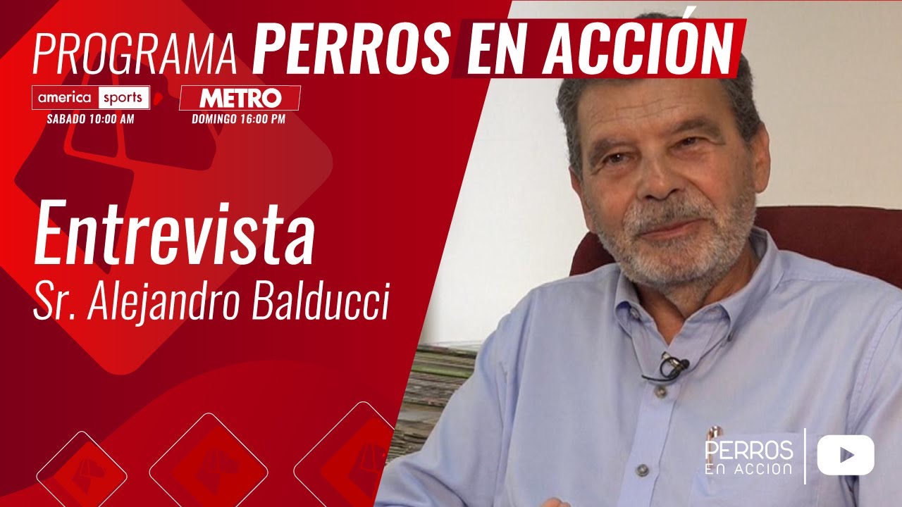 “Perros en acción”  Programa Nº 535