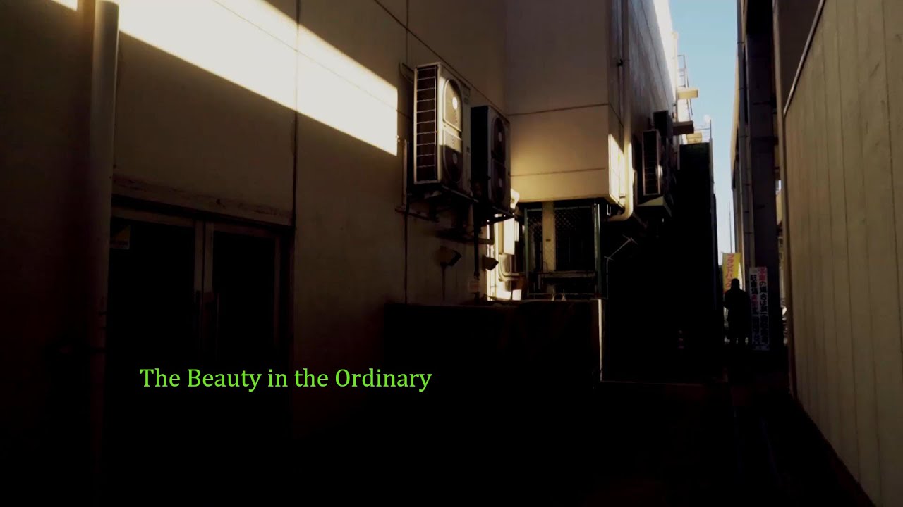 The Beauty in the Ordinary | ZV-E10