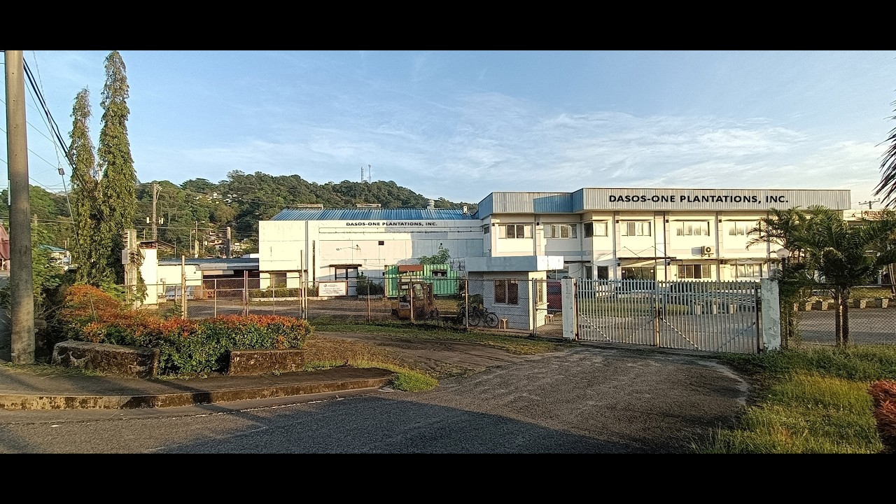 Inside Dasos-One Plantations, Inc. | Sustainable Mahogany & Agarwood Farming