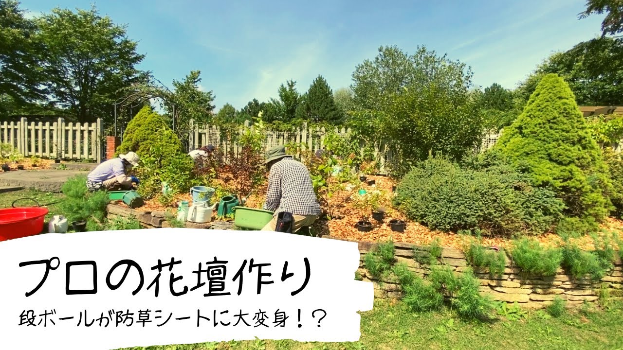 【ガーデニング】ダンボールを活用した防草シートを提案。プロガーデナーが作るメンテナンスフリーのおしゃれな花壇。