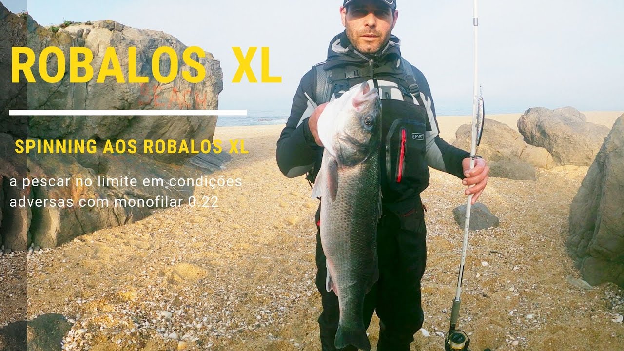 sea bass - robalo XL  monofilar 0.22