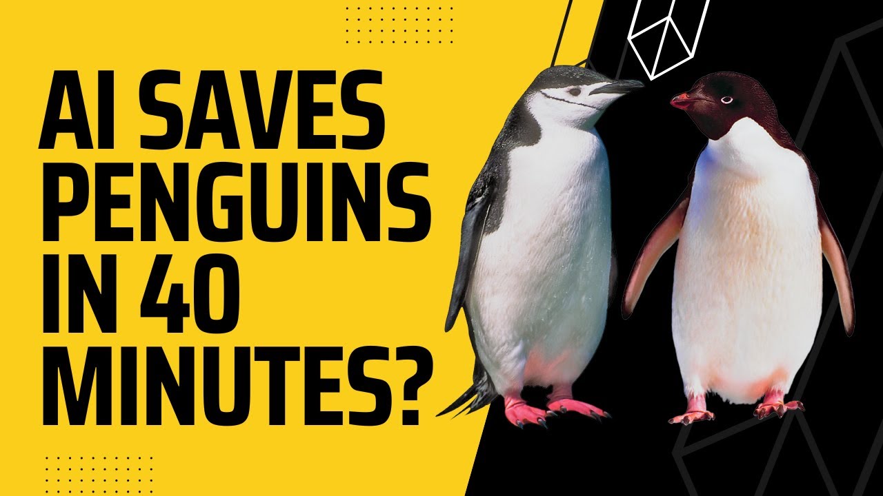 Using AI to Create a Charity in 40 Minutes