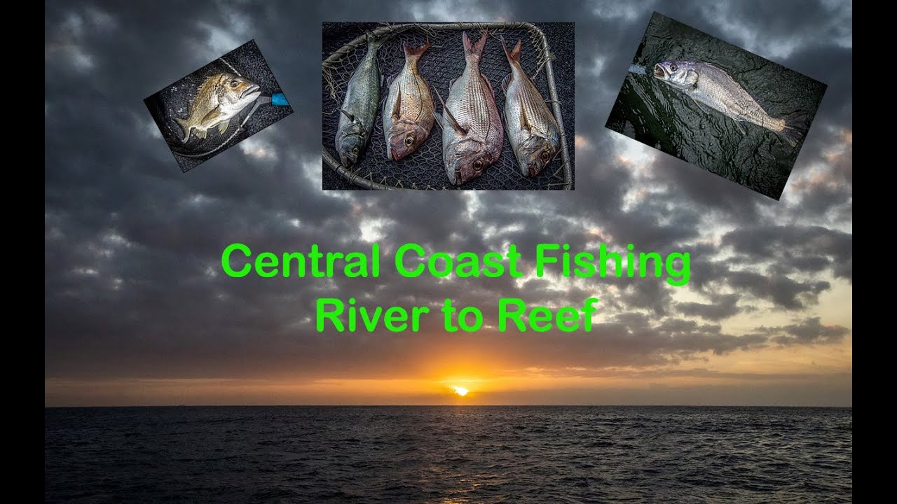 Central Coast Fishing River to Reef Summer Sessions/Snapper/Jewfish/Bream