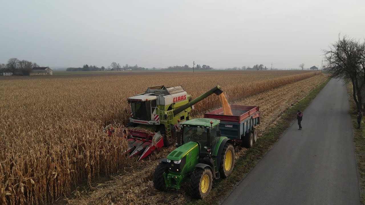 ★ ★kukurydza w ziarno ★ ★pierwsze loty mavic air 2 ★ ★Claas Commandor 228CS★ ★