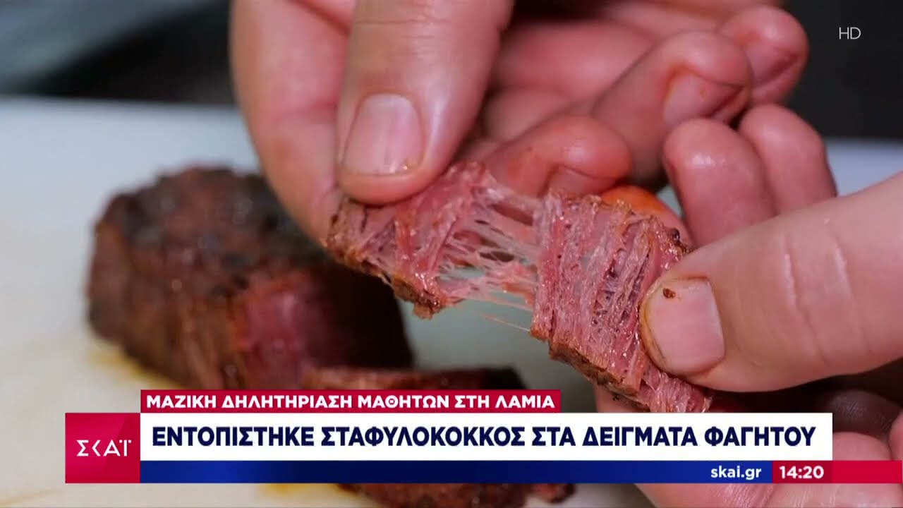 Μαζική δηλητηρίαση μαθητών στη Λαμία: Εντοπίστηκε σταφυλόκοκκος στα δείγματα φαγητού | 21/05/2024