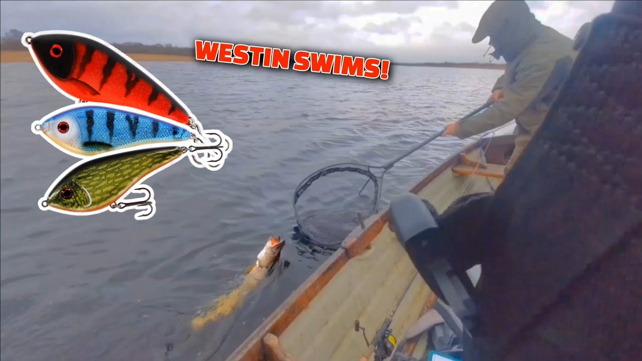 Зимняя рыбалка на щуку на мелководье с использованием приманок Westin Swims! (Бонус: ловля на пов...