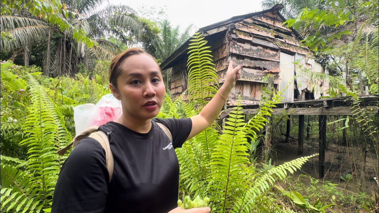 5 TAHUN KEBUN SAWIT TAK DIJENGUK | 2 JAM PERJALANAN BERJALAN KAKI