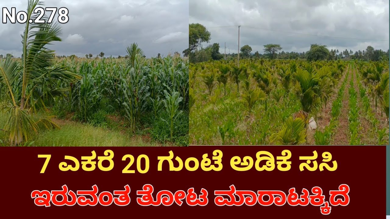 General Property Agriculture Land for Sale Near Jagalur Town Jagalur Taluk Davanagere District