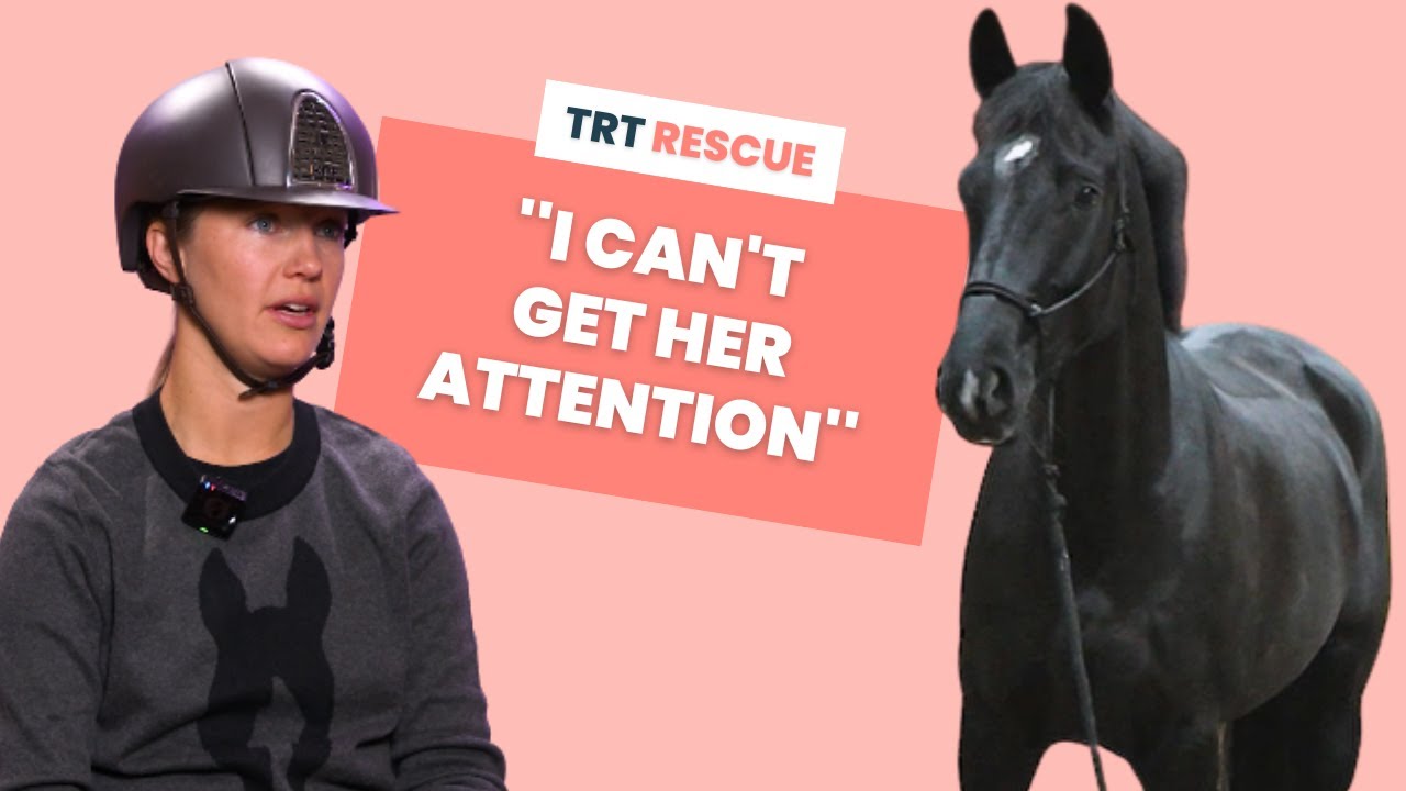 The horse that sees GHOSTS everywhere! 👀 - TRT Rescue S1E6