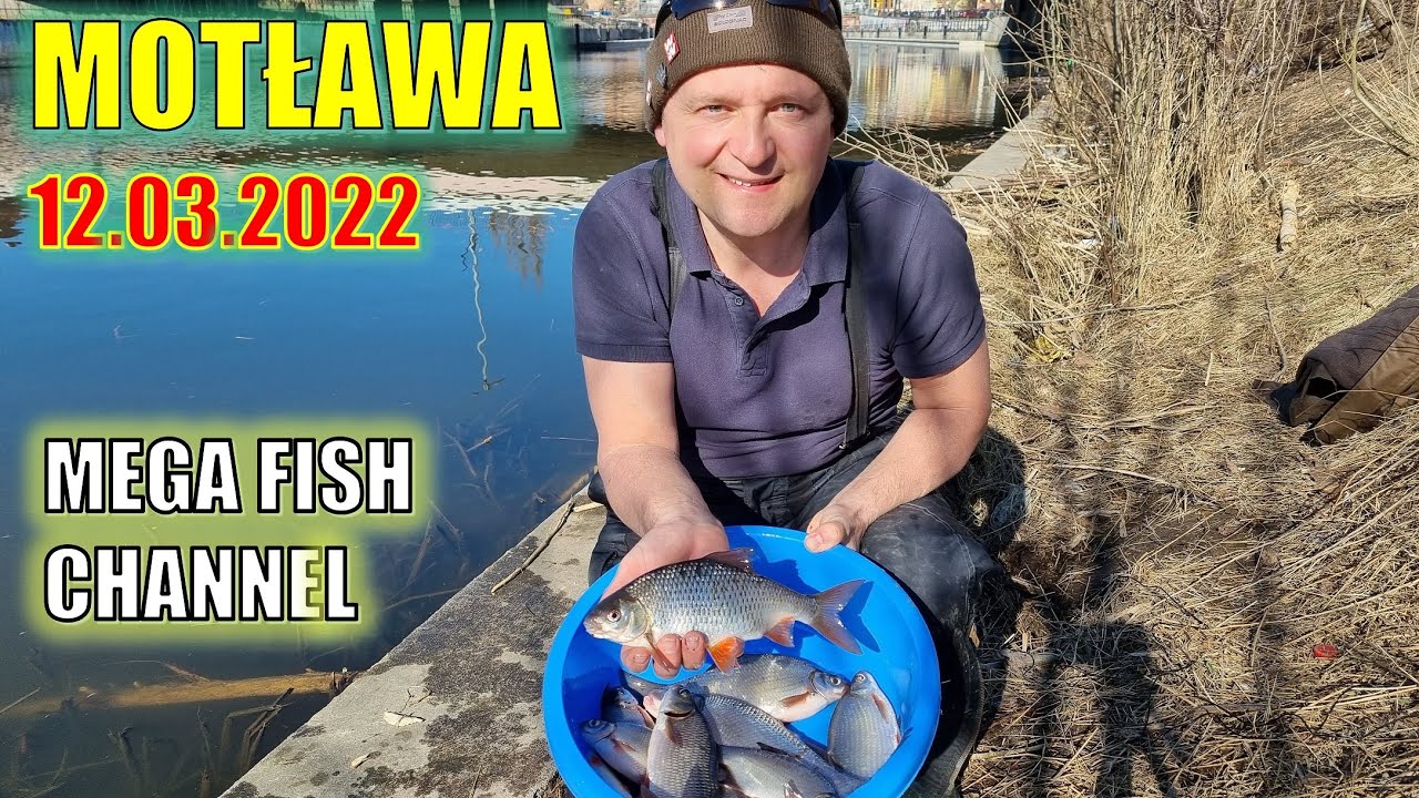 Metoda gruntowa  🎣 na Motławie w  Gdańsku. Piękne ryby🐟. Gięcie kija💪 💪💪.