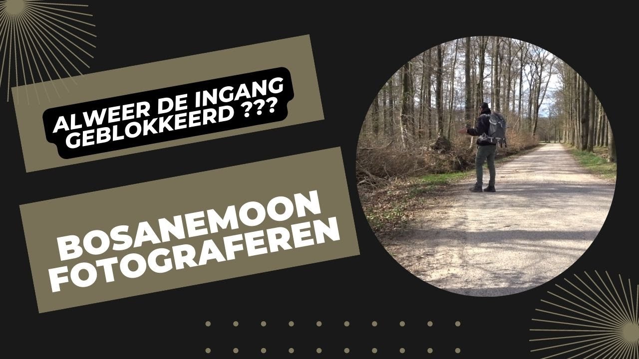 Fotografie vlog 27 | Bosanemoon Macrofotografie |