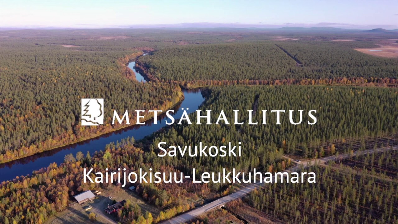 Erätontteja Savukoskeltä, Kairijokisuu Leukkuhamara | Metsähallituksen Laatumaa-tontit