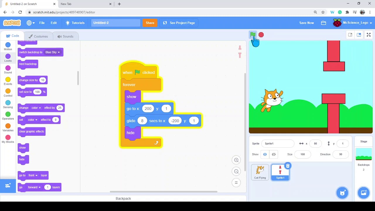 Scratch Flappy cat
