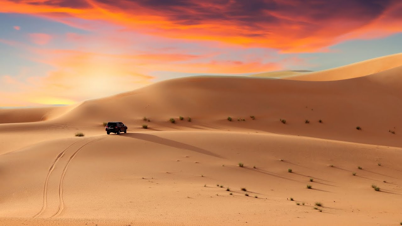 Desert Safari Abu Dhabi 🇦🇪