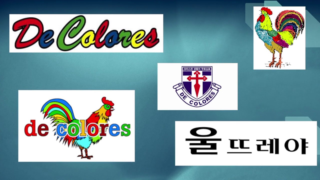 울뜨레야 팀회합, 제주교구