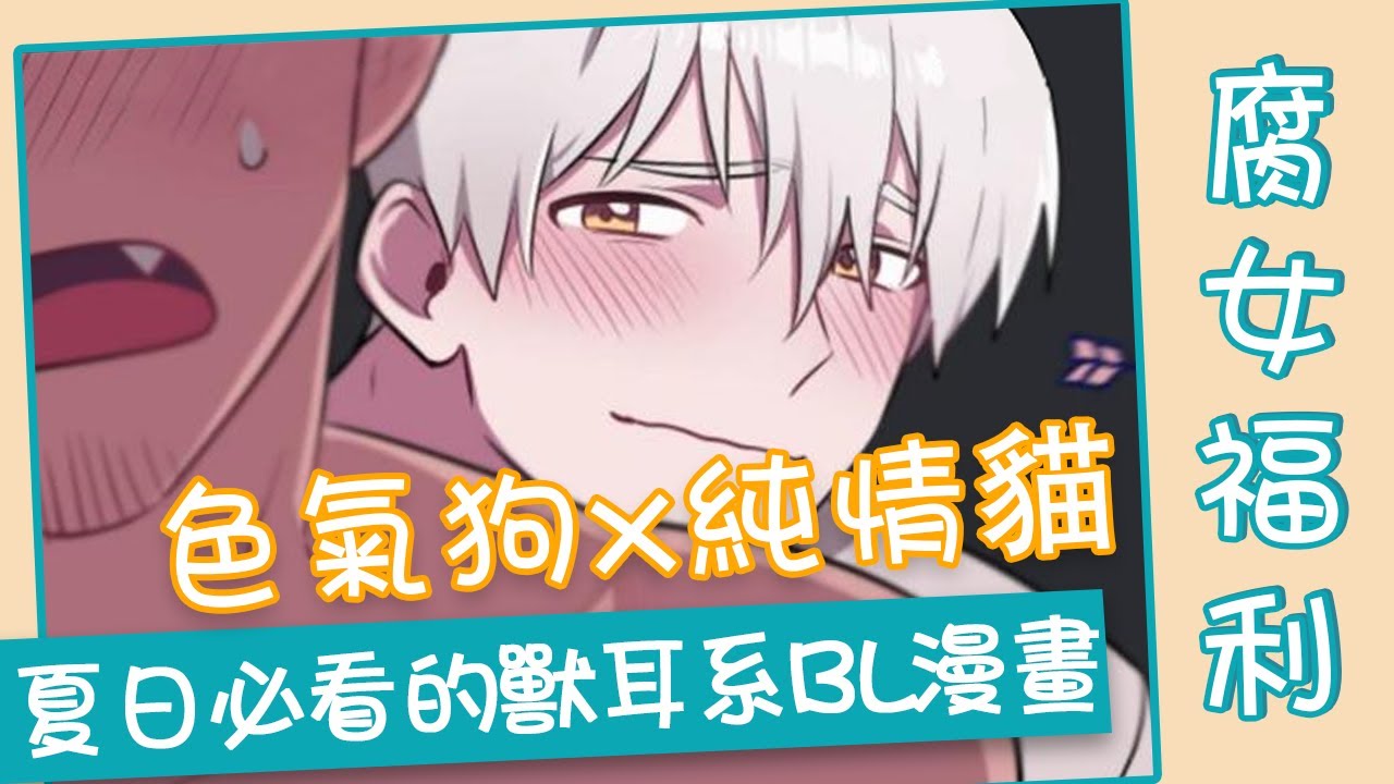 【BL漫畫】2020夏天必看的2部獸耳系腐漫畫丨BL comic