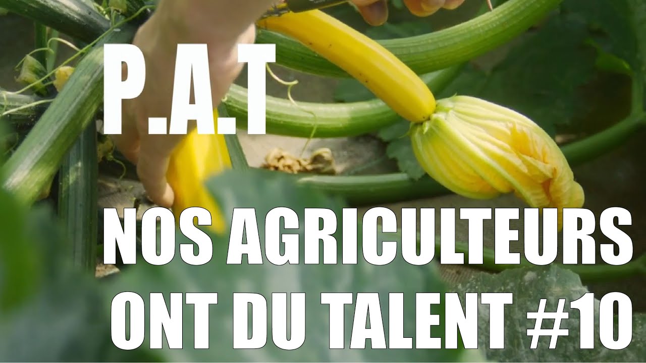 10 Vidéo Instituelle  PAT elus v01 1080p