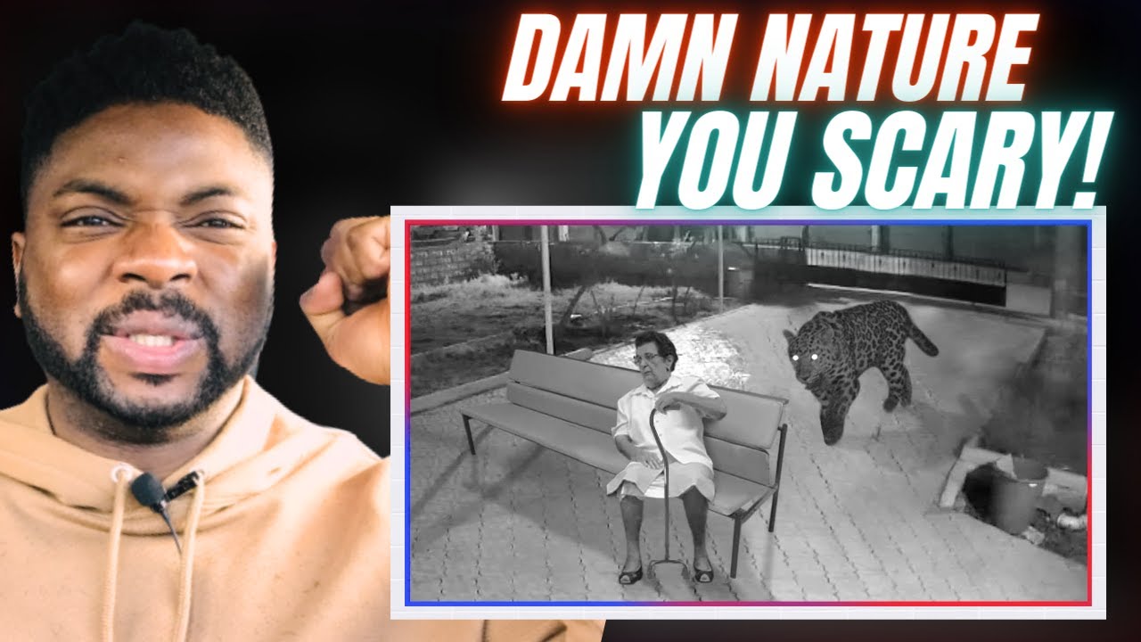 Brit Reacts To DAMN NATURE, YOU SCARY!
