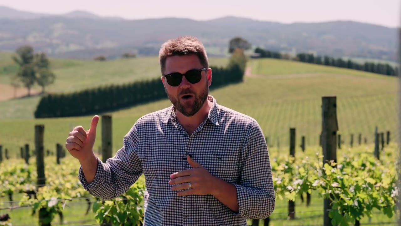 The Lane Vineyard - Adelaide Hills Overview