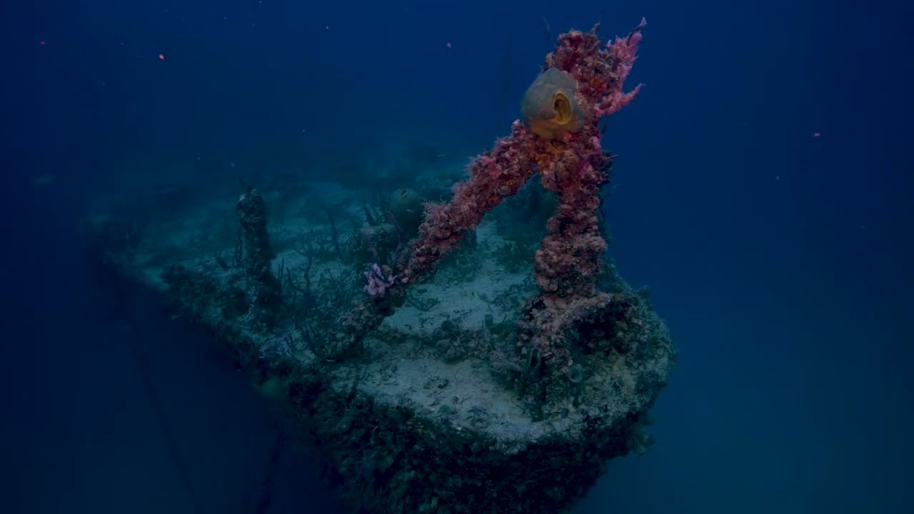 The Florida Keys: A Wreck Wonderland for Divers