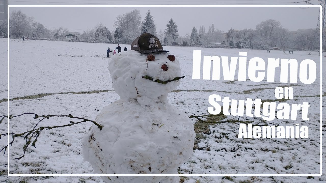 Y asi se vive el Invierno en Stuttgart Alemania, Se nos vino la primera tormera de nieve!!