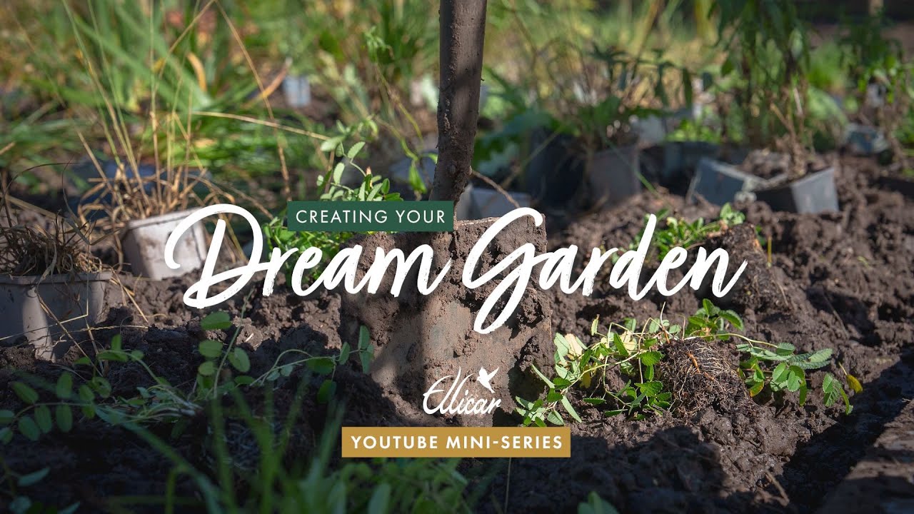 EPISODE 10: How We Planted a Biodiverse Garden Around a Swimming Pond