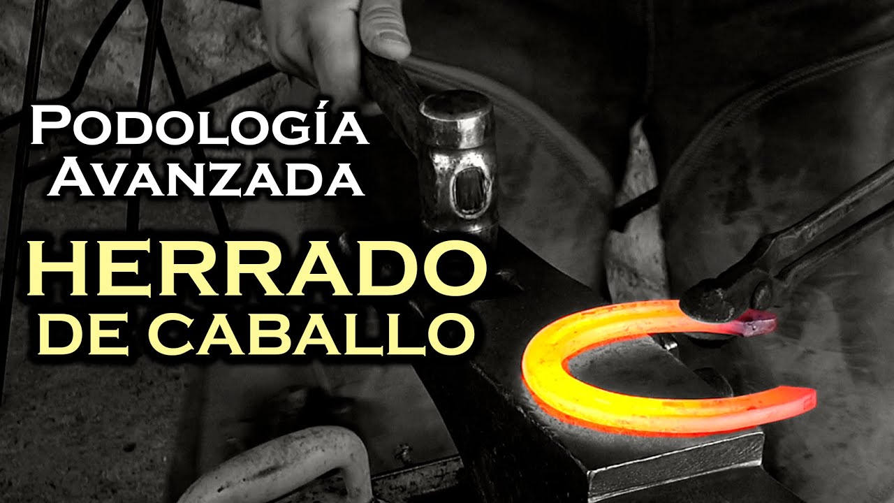 HERRAJE DE CABALLO copiando la forma del Casco a la Herradura