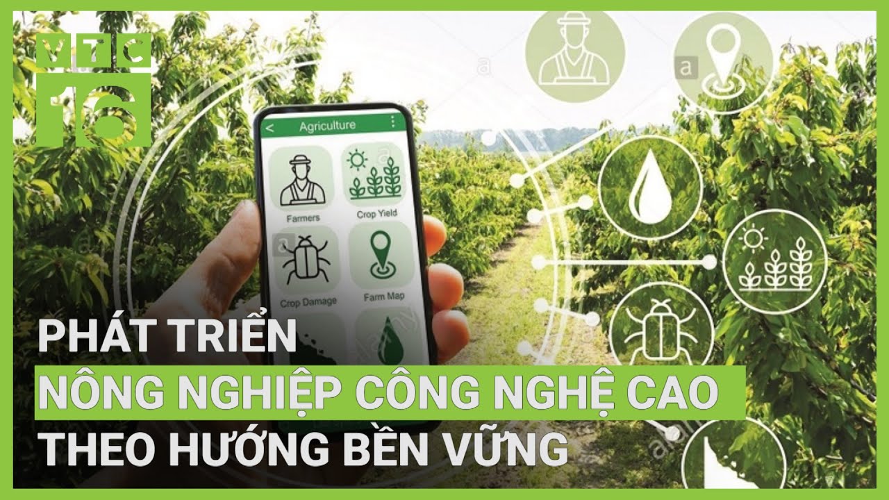Phát triển nông nghiệp công nghệ cao theo hướng bền vững | VTC16