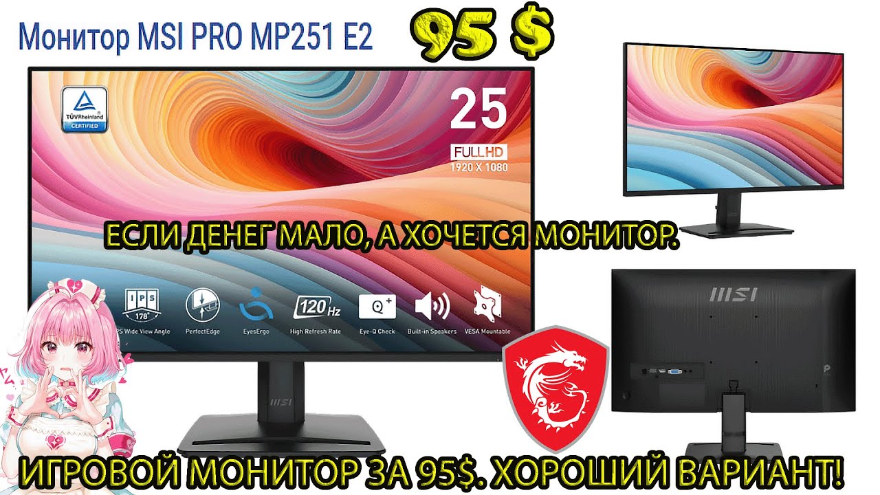 MSI PRO MP251 E2. Бюджетный игровой монитор за 95 $ на 120 Гц. Топ за свои деньги. Цена - качество.