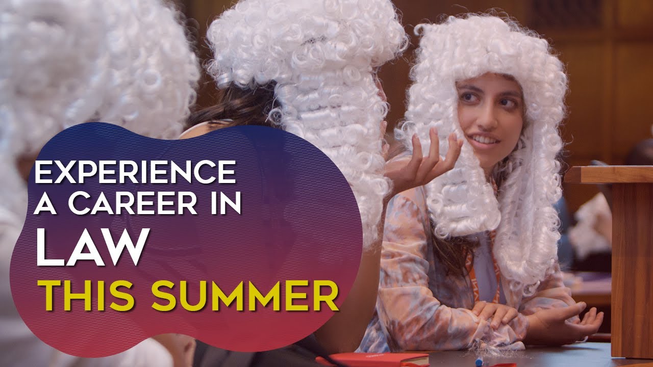 The Young Lawyer Summer Experience