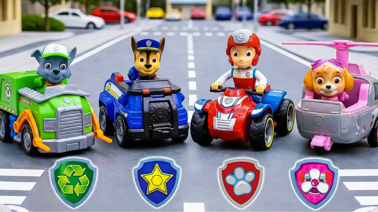 PAW PATROL'S MISSION: Catching the Robber!🏃‍♂️ | Paw Patrol Toys