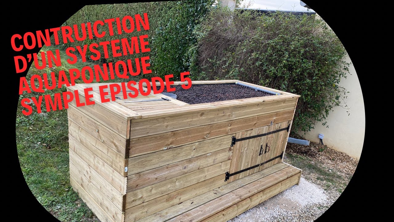 Construction d’un système aquaponique simple dernier épisode