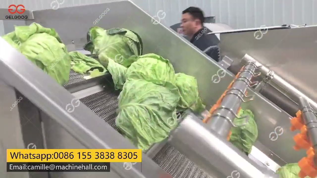 Cabbage Vegetable Salad Washing Cutting De-watering Processing Line