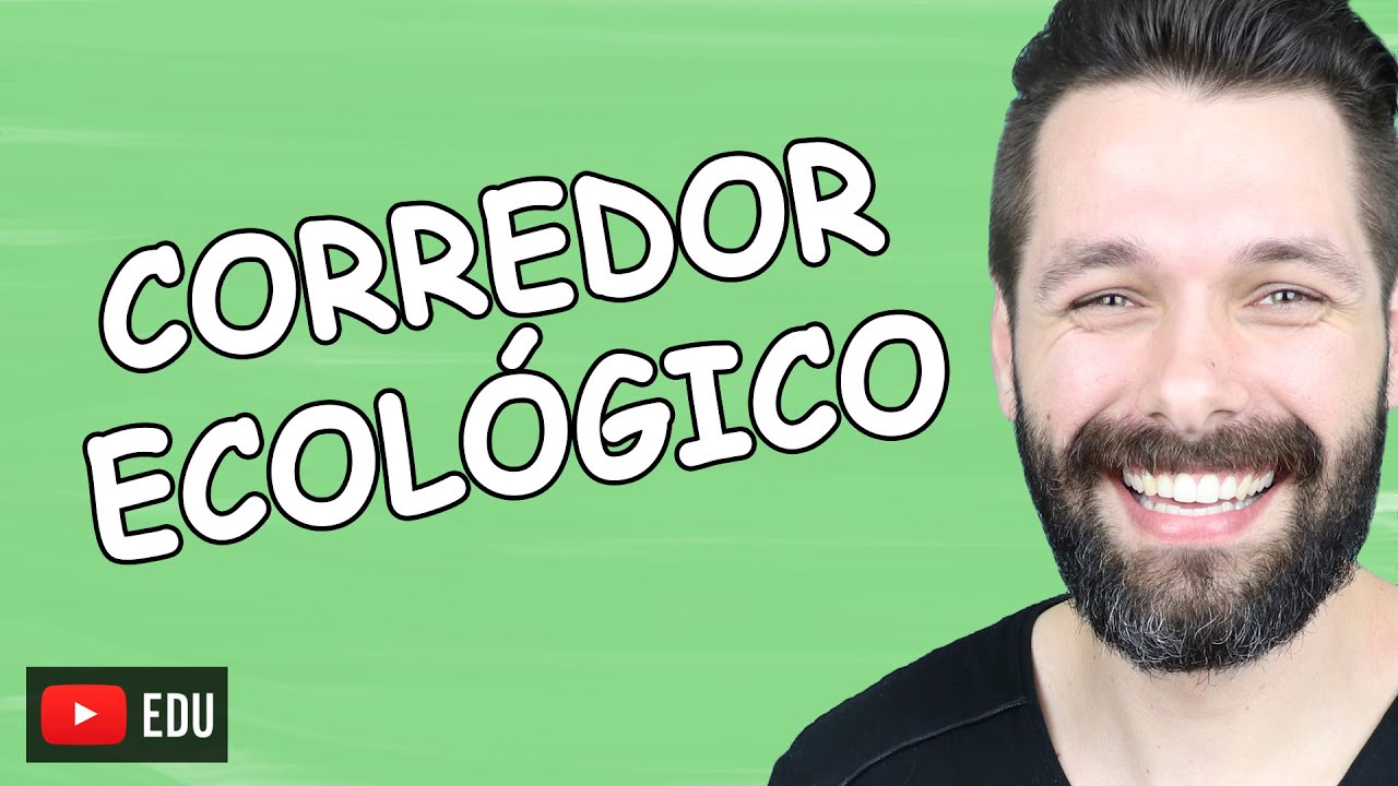 CORREDOR ECOLÓGICO - Fragmentação de habitat - Impactos ambientais | Biologia com Samuel Cunha