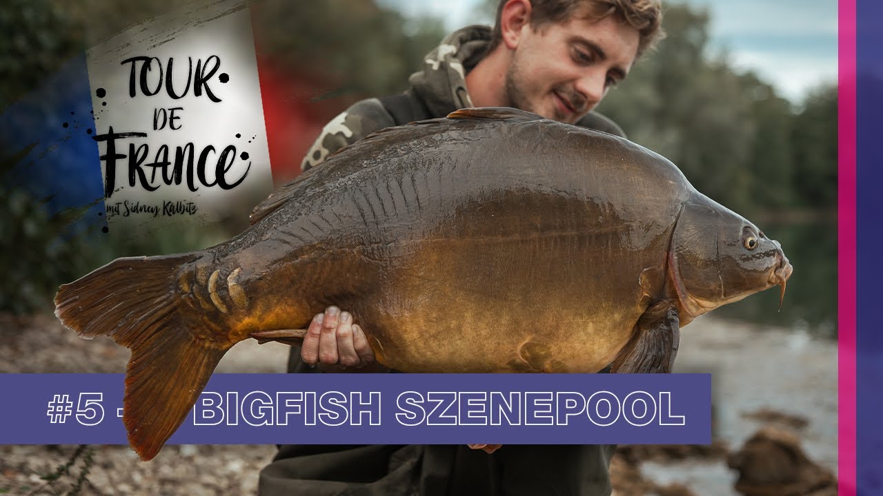 Tour de France #5 - Der Bigfish Szenepool 🐳 | 4K | Karpfenangeln | Frankreich | Baggersee |
