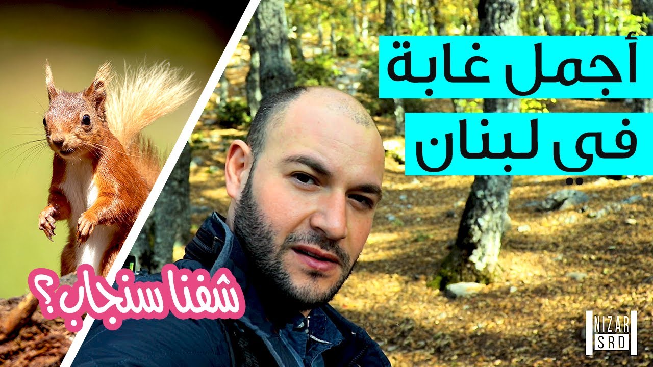 أشهرمكان في لبنان غابة العذرعكار what to do in Akkar ? Lebanon LB 2021 Azer forest  Nizar srd